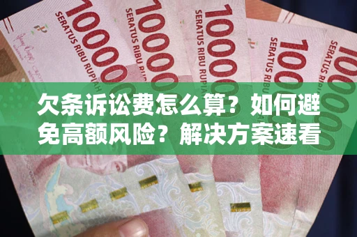 北京欠条诉讼费怎么算？如何避免高额风险？解决方案速看！