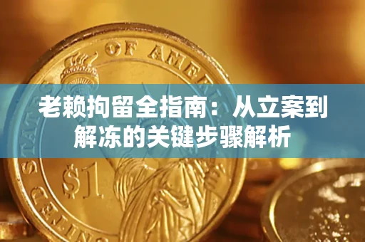 北京老赖拘留全指南：从立案到解冻的关键步骤解析