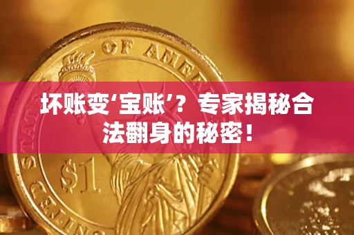 北京坏账变‘宝账’？专家揭秘合法翻身的秘密！