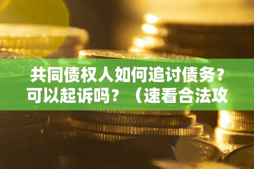 北京共同债权人如何追讨债务？可以起诉吗？（速看合法攻略）